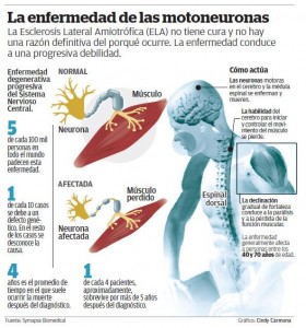 ELA Esclerosis Lateral Amiotrófica